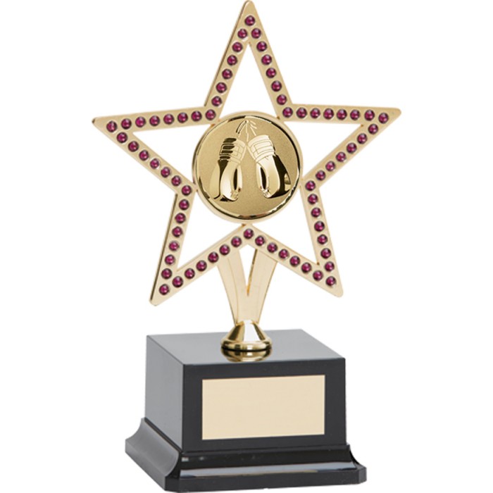  10'' GOLD METAL STAR WITH PURPLE GEMSTONES - BOXING TROPHY